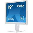 IIYAMA Monitor 19 cali B1980D-W5 DVI,VGA,PIVIOT,HAS/150mm,5:4