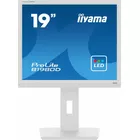 IIYAMA Monitor 19 cali B1980D-W5 DVI,VGA,PIVIOT,HAS/150mm,5:4