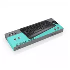 MS Zestaw bezprzewodowy klawiatura + mysz Alpha M300